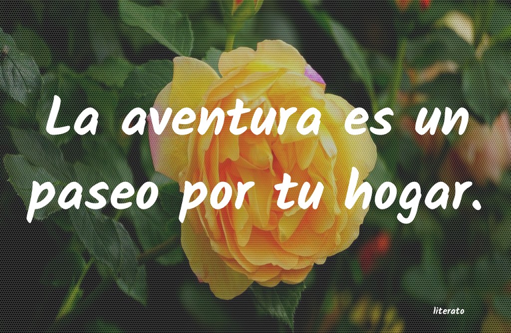 frases