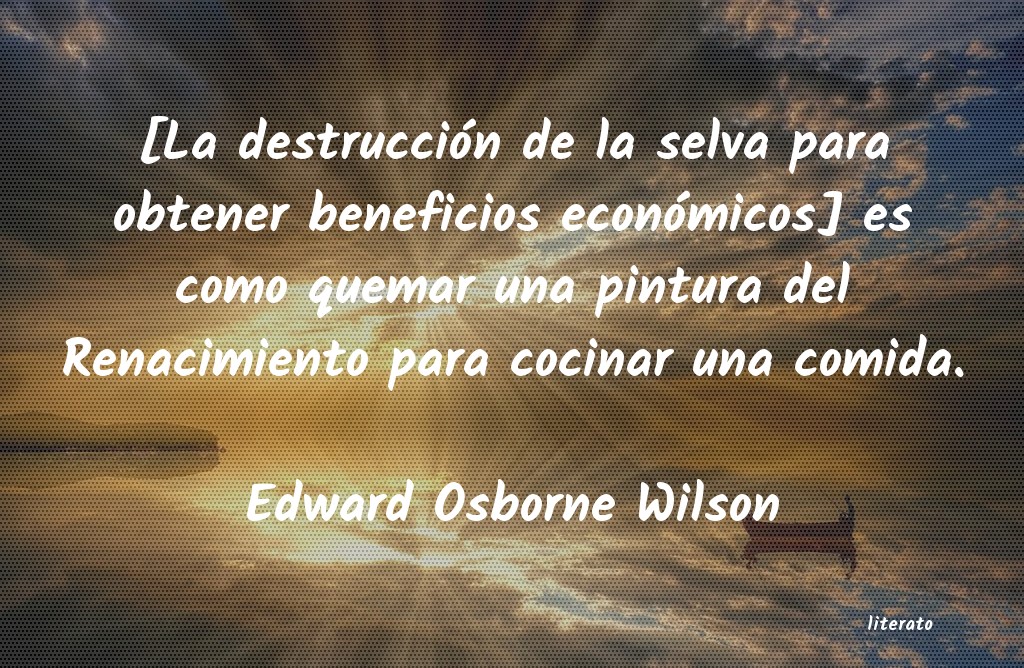 frases de Edward Osborne Wilson
