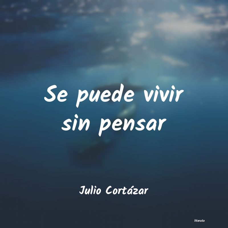 frases de Julio CortÃ¡zar