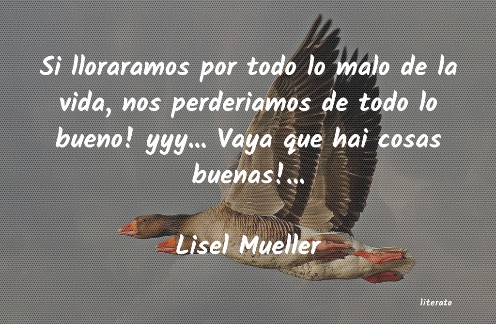 Frases de Lisel Mueller