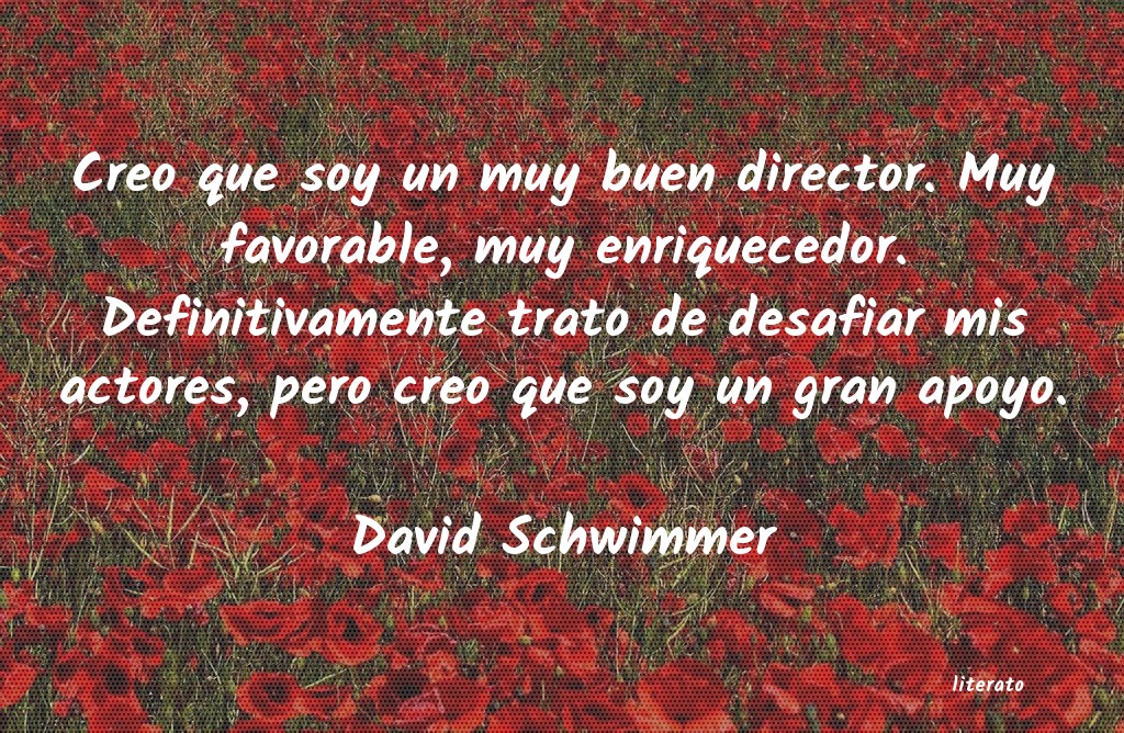 Frases de David Schwimmer