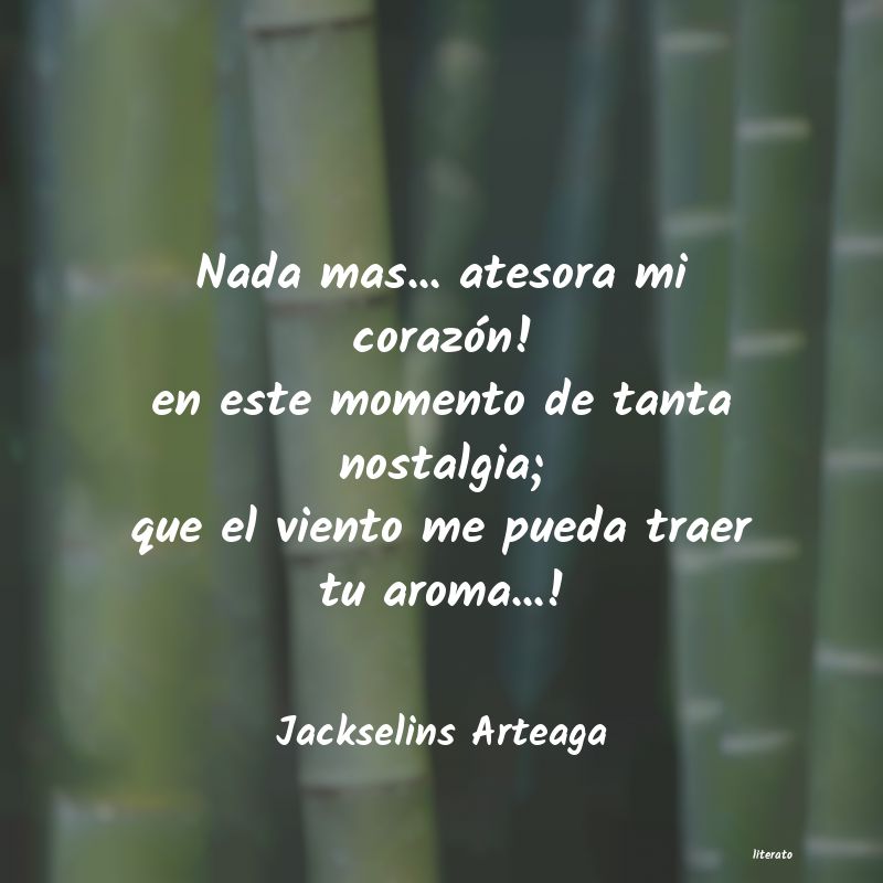 frases de Jackselins Arteaga
