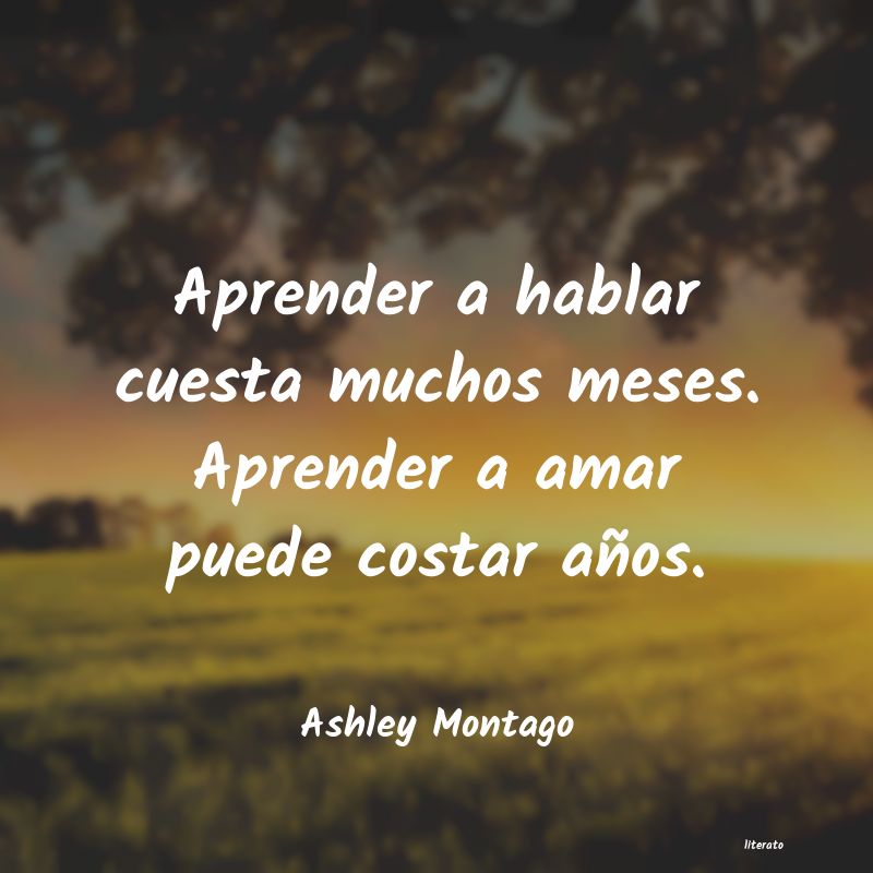 ashley montago