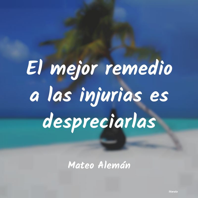 Frases de Mateo Alemán