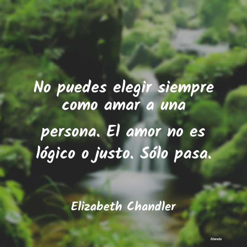 Frases de Elizabeth Chandler