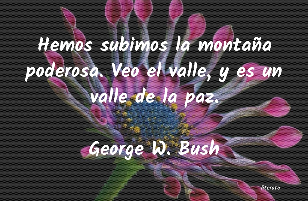 Frases de George W. Bush