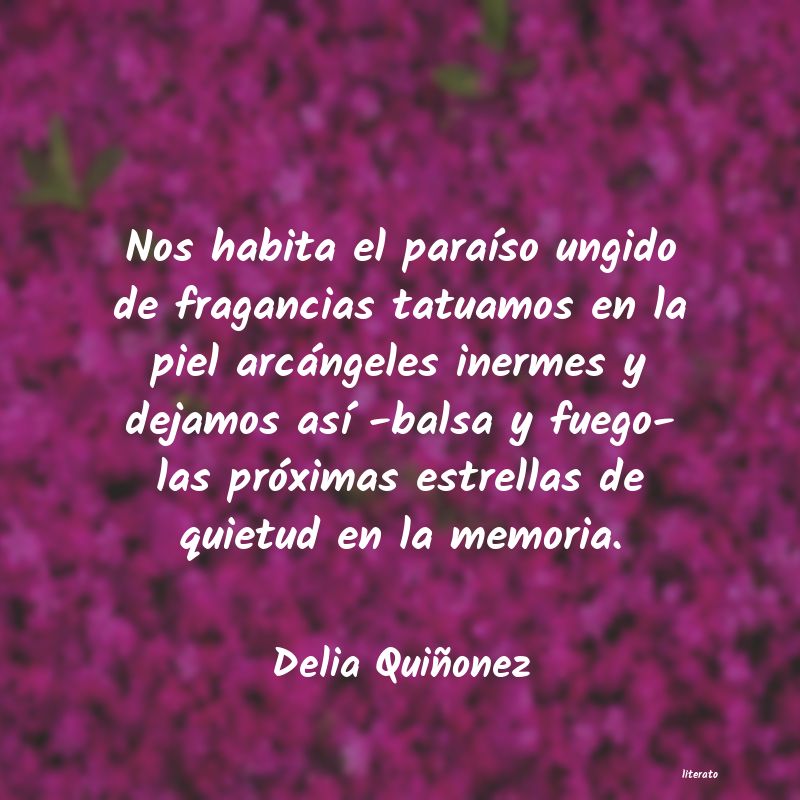 frases de Delia Quiñonez