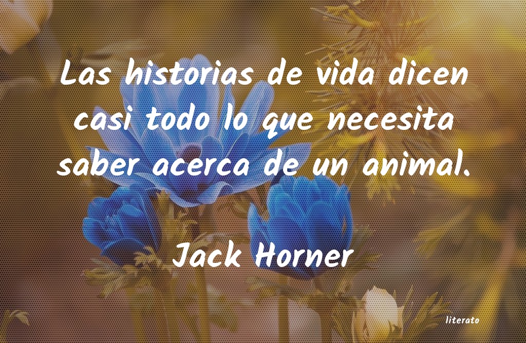 Frases de Jack Horner