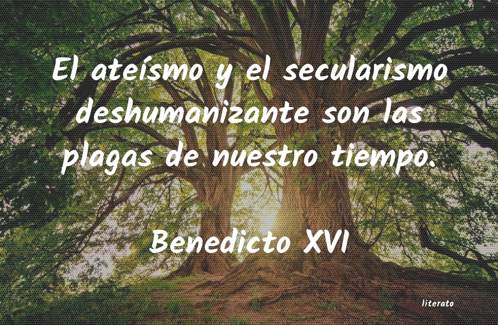 frases de Benedicto XVI