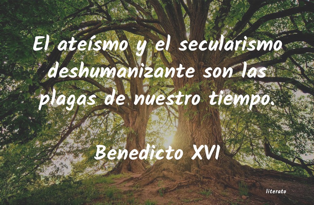 Frases de Benedicto XVI