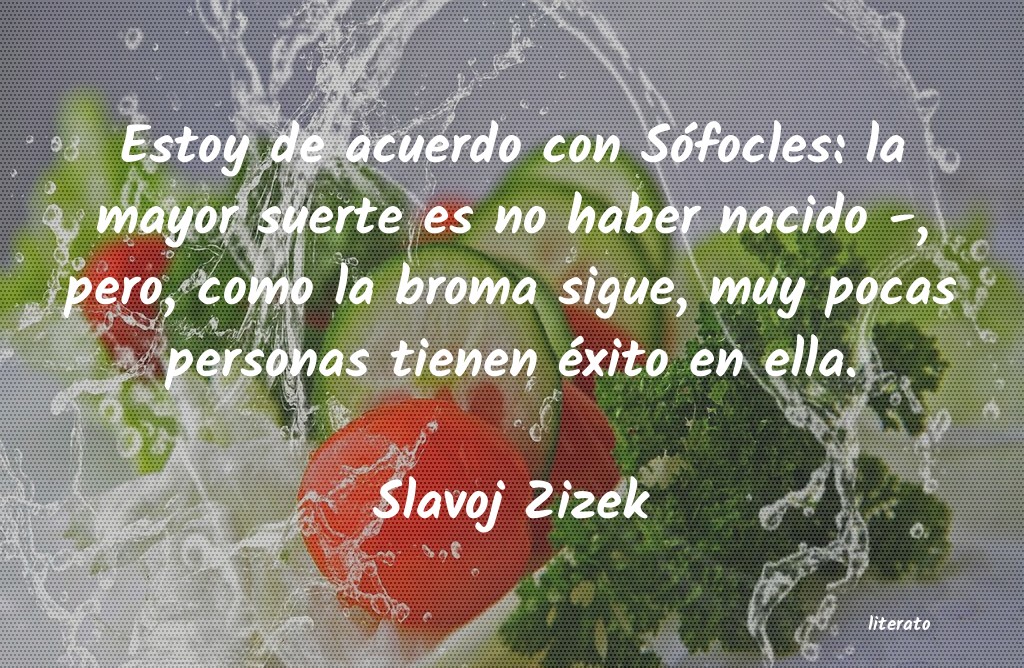 frases de Slavoj Zizek