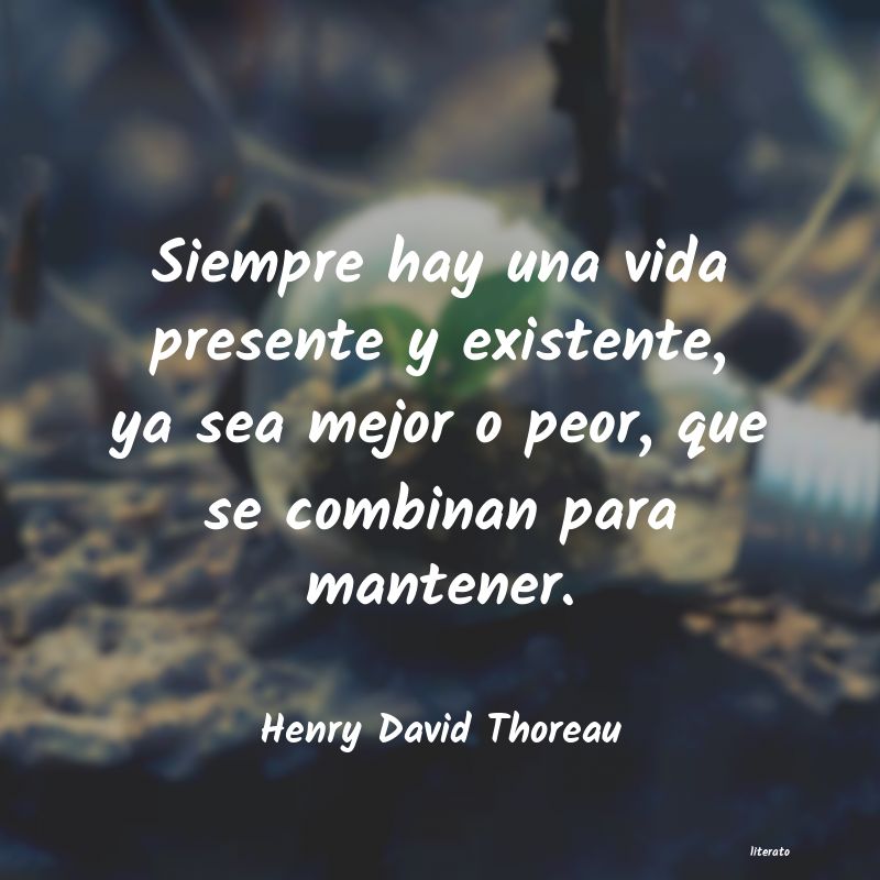 frases de Henry David Thoreau