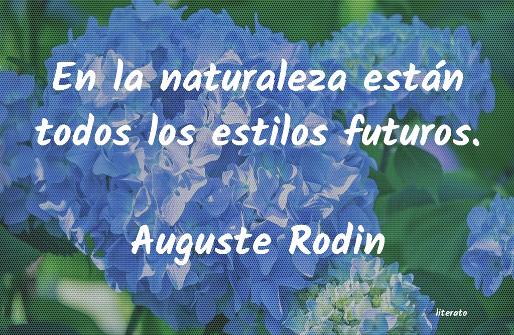 Frases de Auguste Rodin