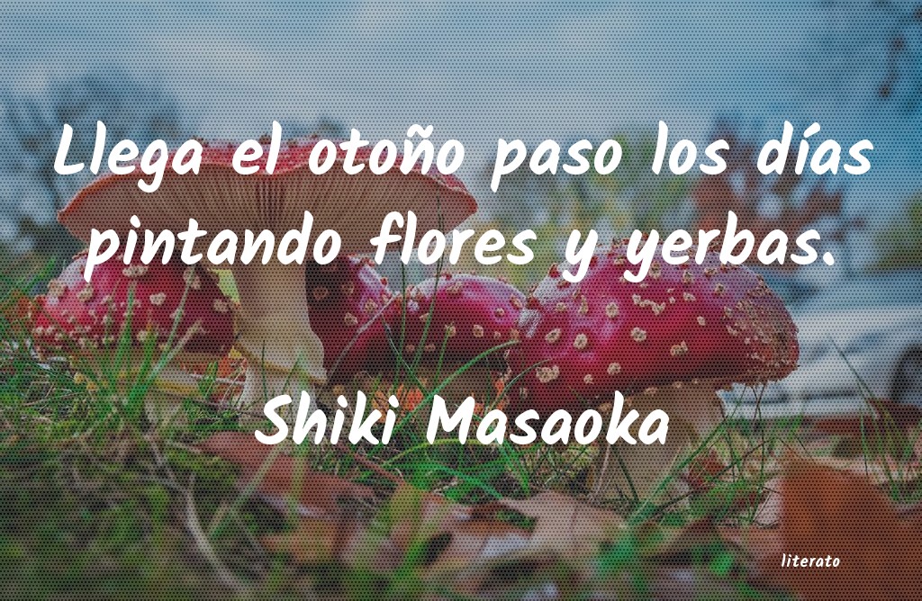 frases de Shiki Masaoka