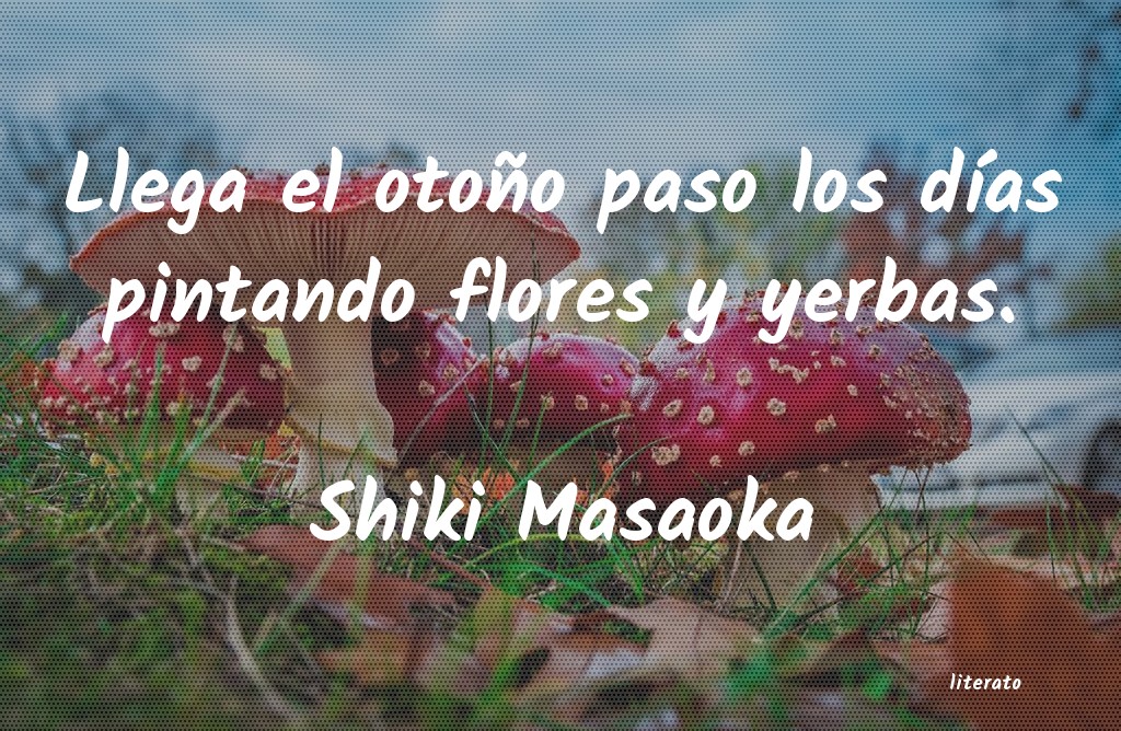 Frases de Shiki Masaoka