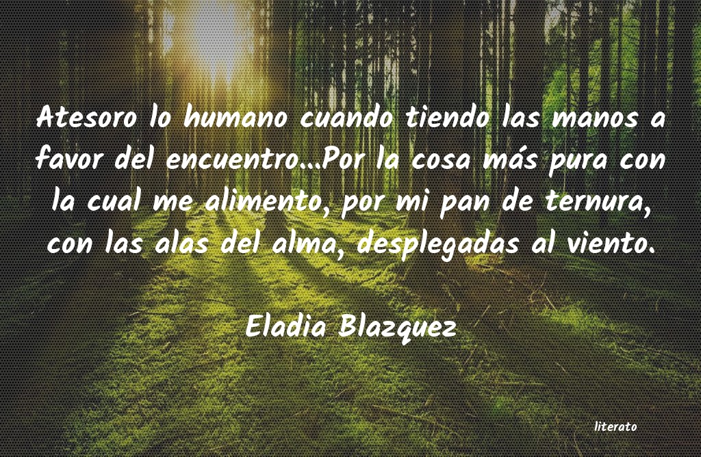 Frases de Eladia Blazquez