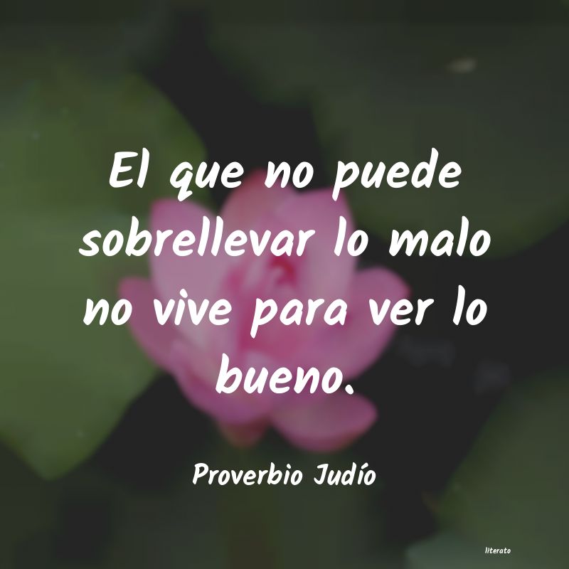 Frases de Proverbio Judío