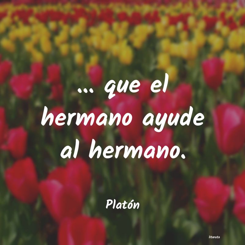 frases de Platón