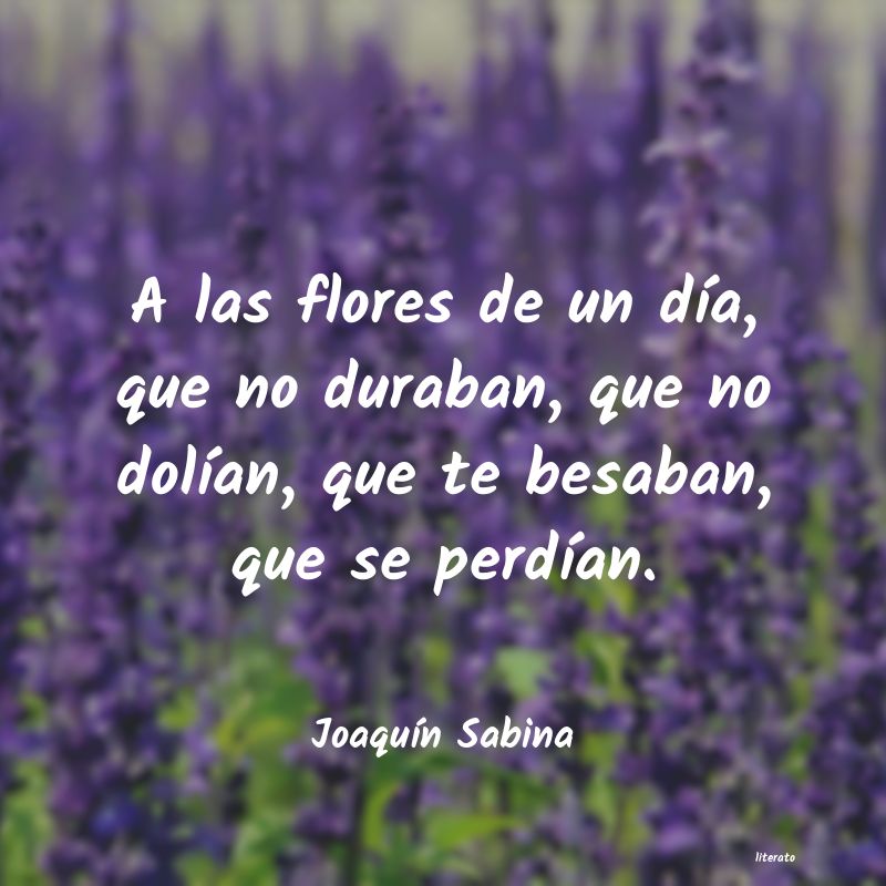 Frases de Joaquín Sabina