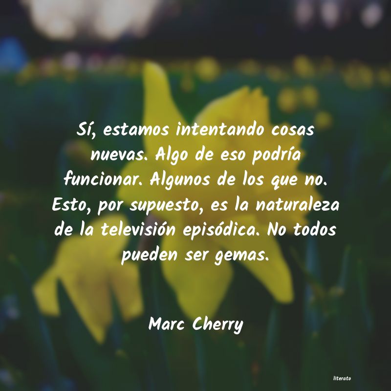 Frases de Marc Cherry