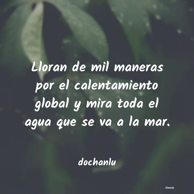 Frases de dochanlu