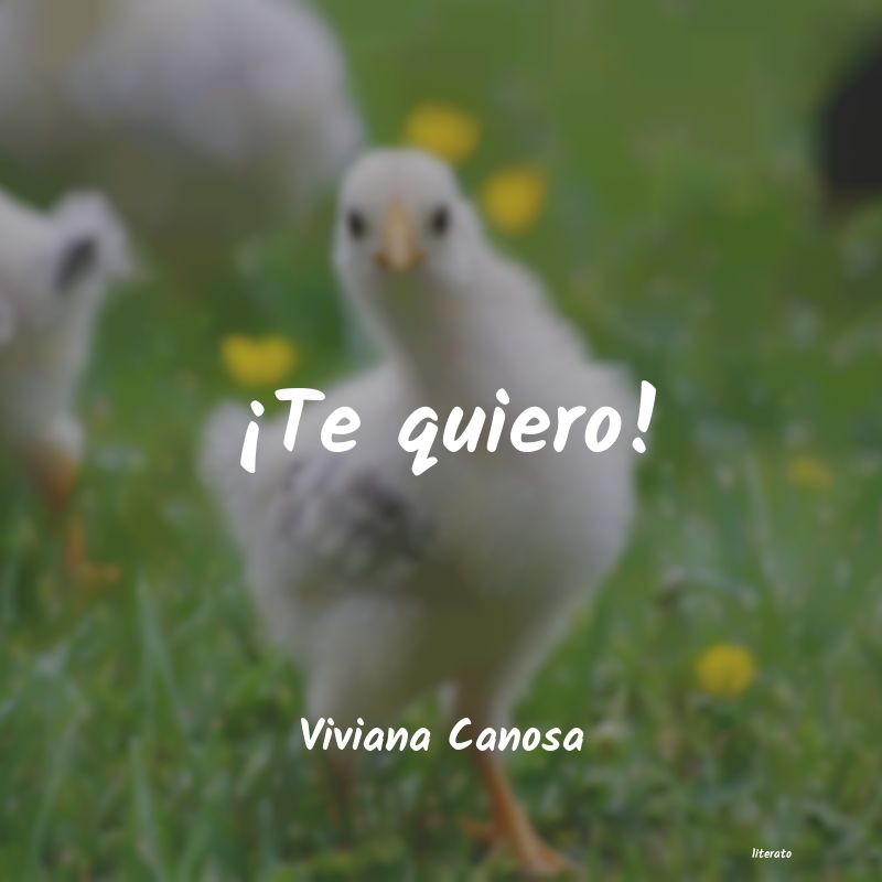 frases de Viviana Canosa