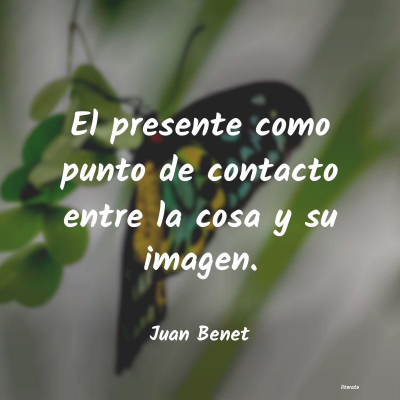 frases de Juan Benet
