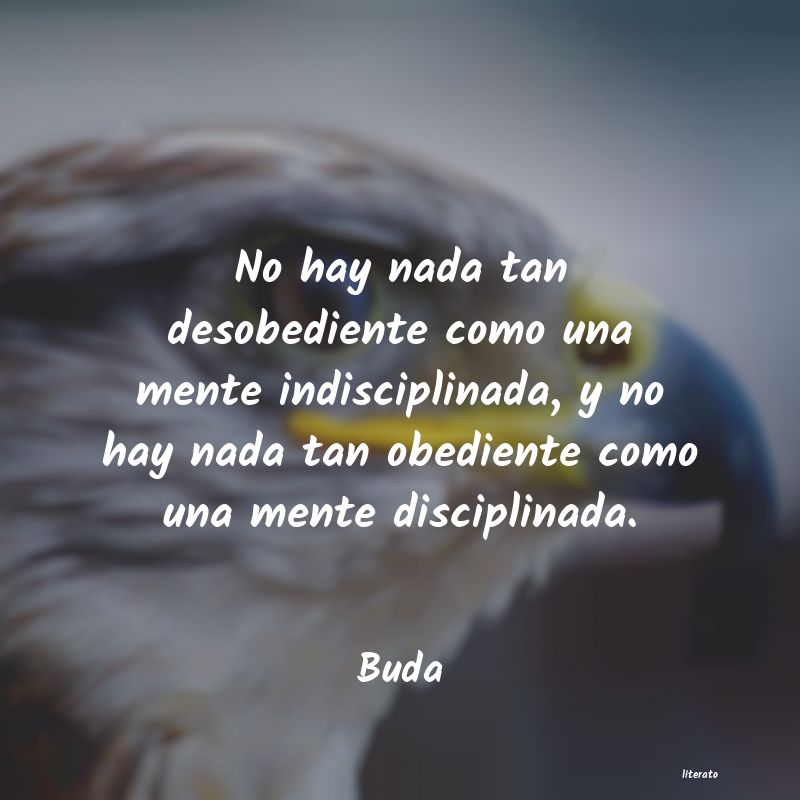 Frases de Buda