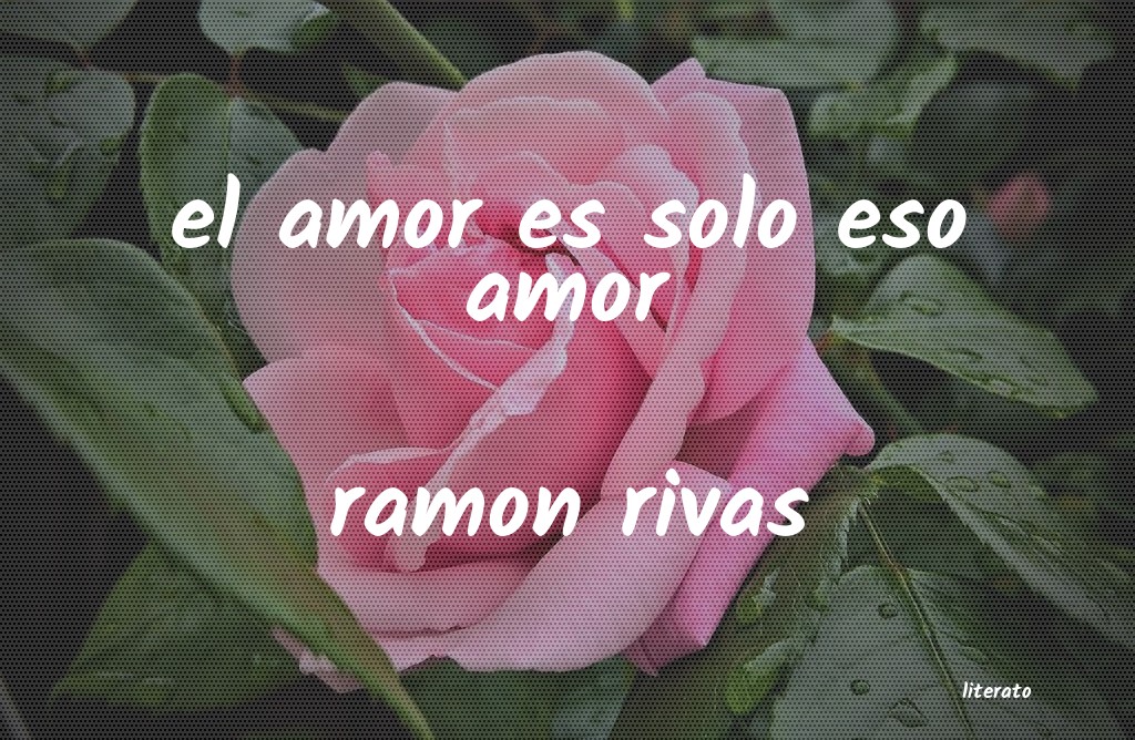 Frases de ramon rivas