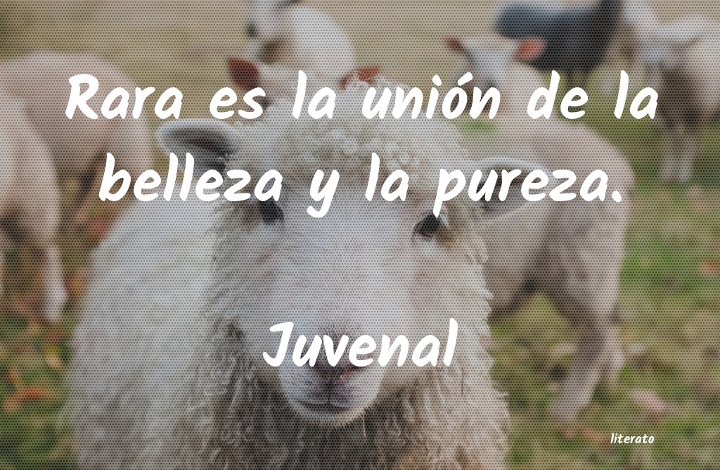 frases de Juvenal