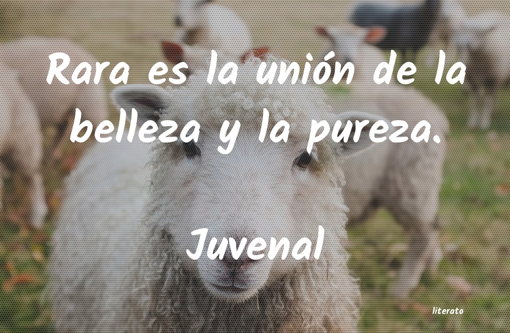 Frases de Juvenal