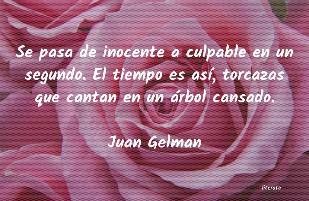 frases de Juan Gelman