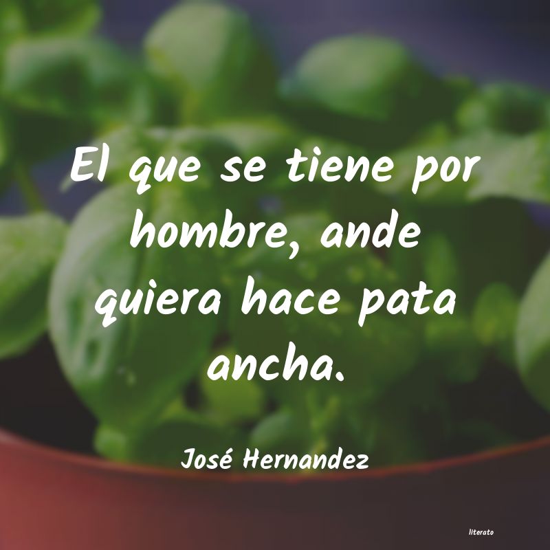 Frases de José Hernandez