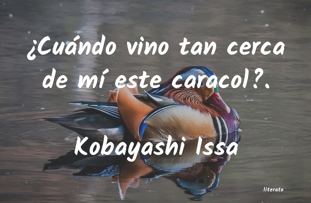 Frases de Kobayashi Issa