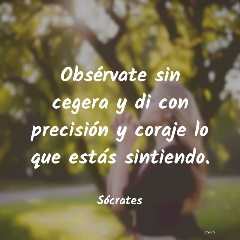 frases de aprendizaje de socrates