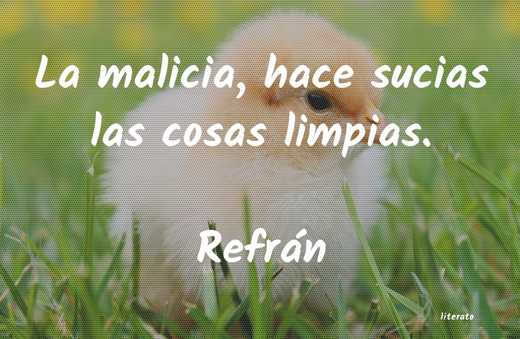 frases de RefrÃ¡n