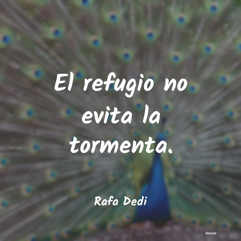 frases de Rafa Dedi