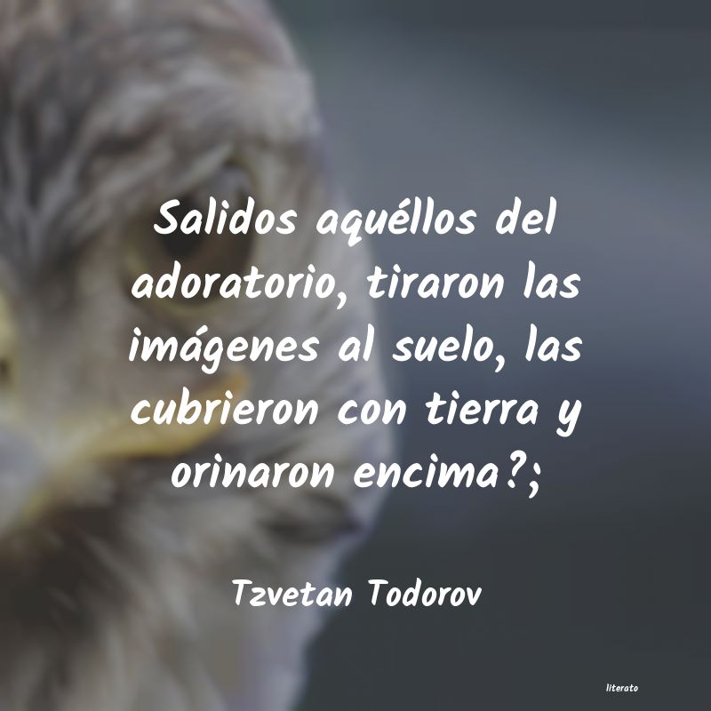 frases de Tzvetan Todorov