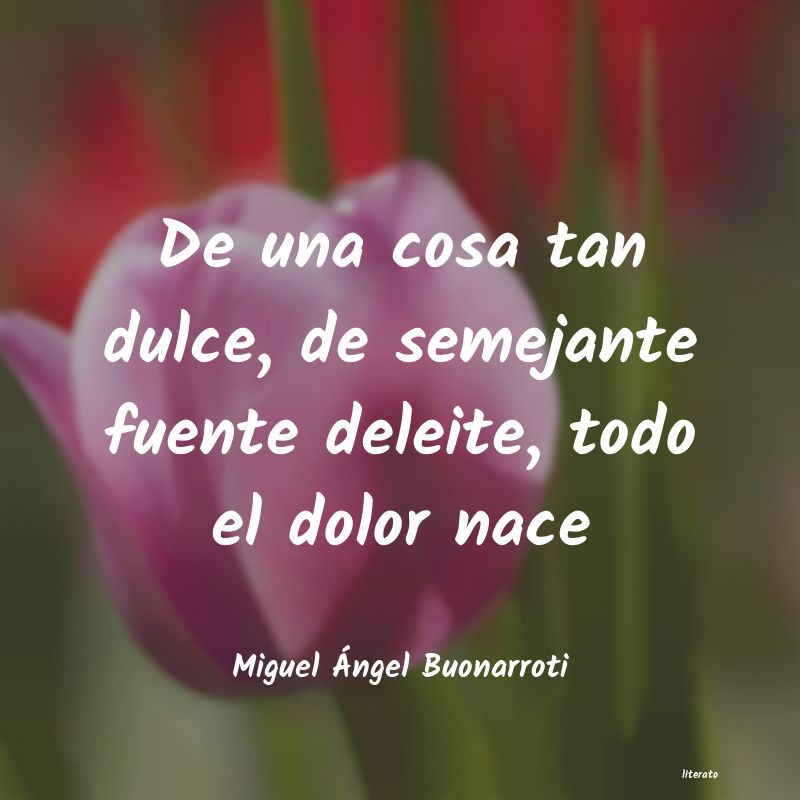 Frases de Miguel Ángel Buonarroti