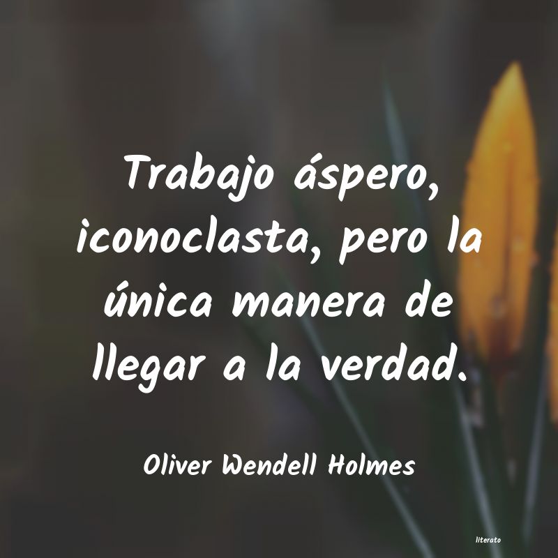 frases de Oliver Wendell Holmes
