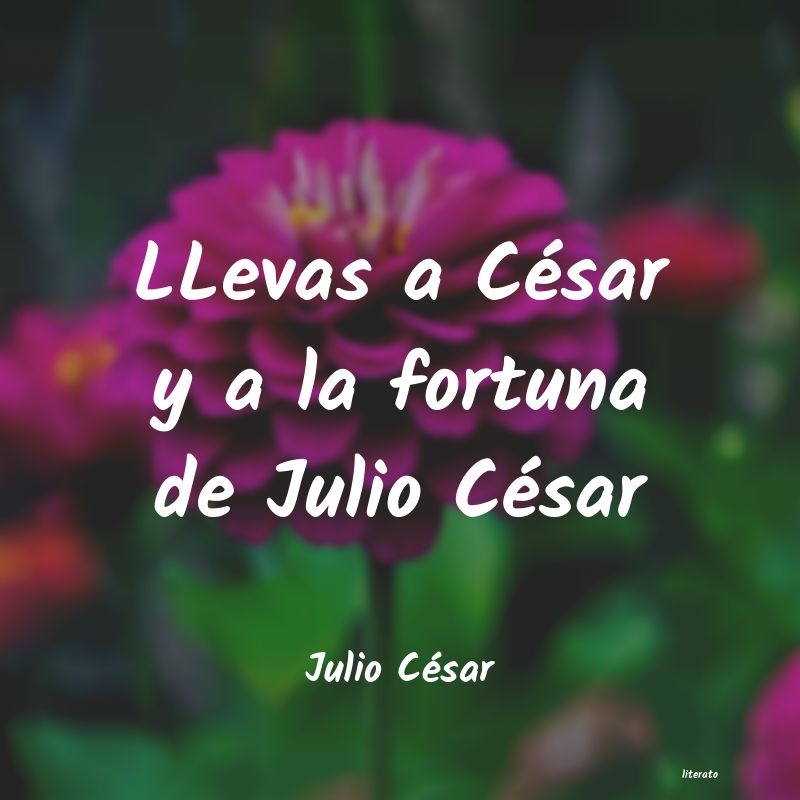 frases de Julio César