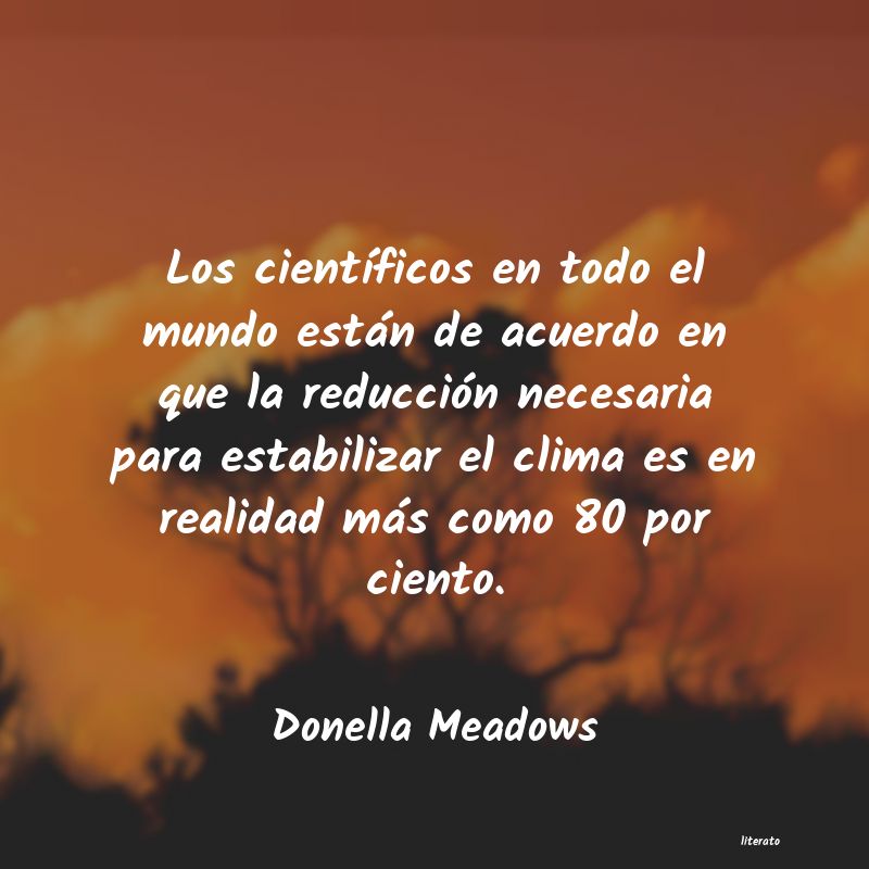 Frases de Donella Meadows