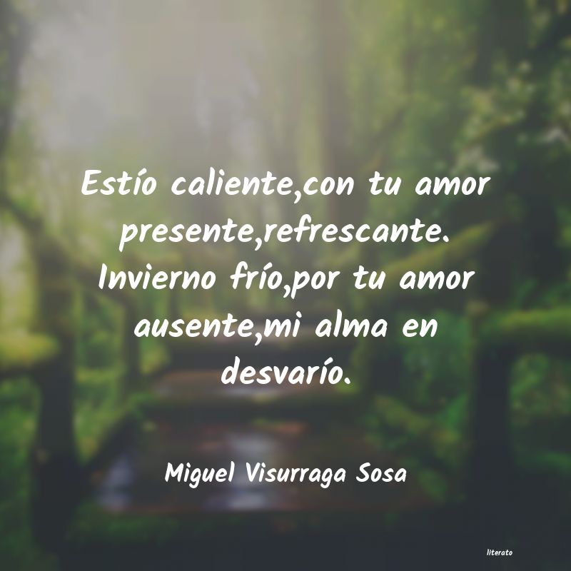 frases de Miguel Visurraga Sosa