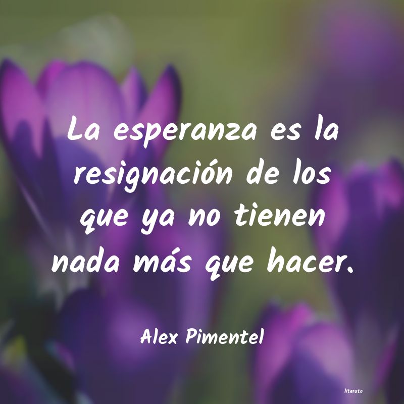 Frases de Alex Pimentel