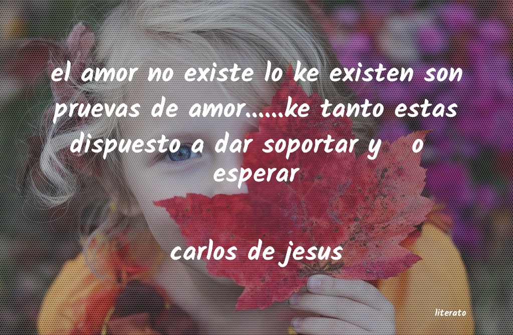 frases de carlos de jesus