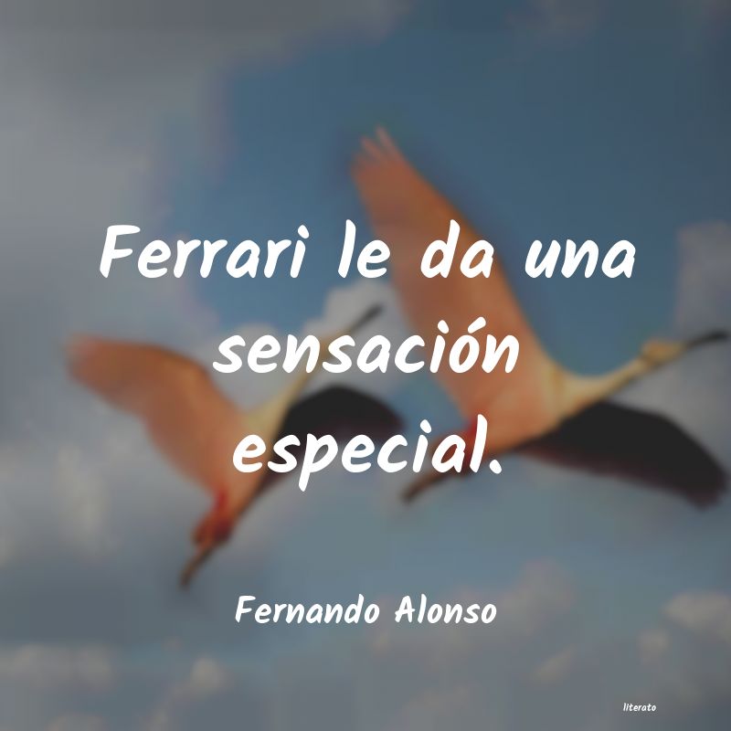 Frases de Fernando Alonso