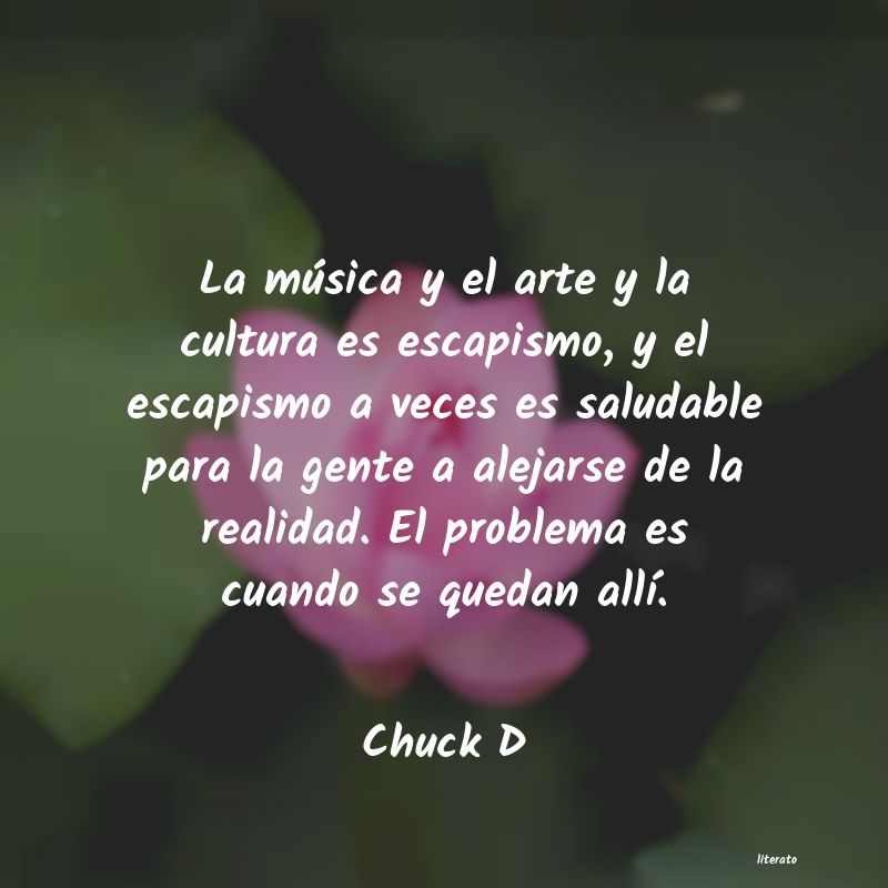 Frases de Chuck D