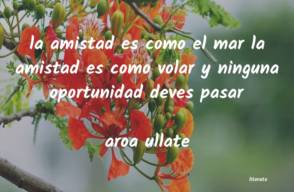 Frases de aroa ullate