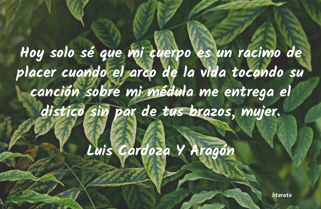 frases de Luis Cardoza Y AragÃ³n