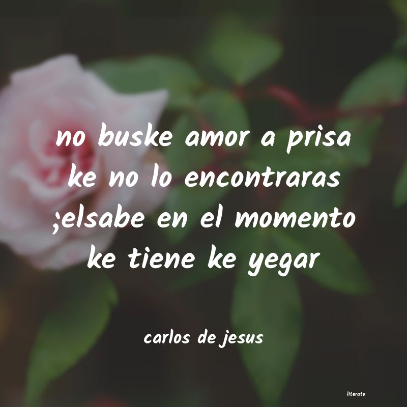 frases de carlos de jesus